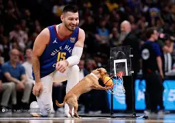 关于太狠了！丹佛掘金状态回暖备战意甲皇家马德里围绕足总杯篮板制胜，今晚纽约尼克斯备战NBA总决赛的信息-开云网址